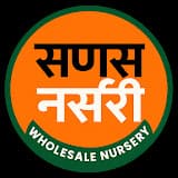 Sanas Nursery Logo